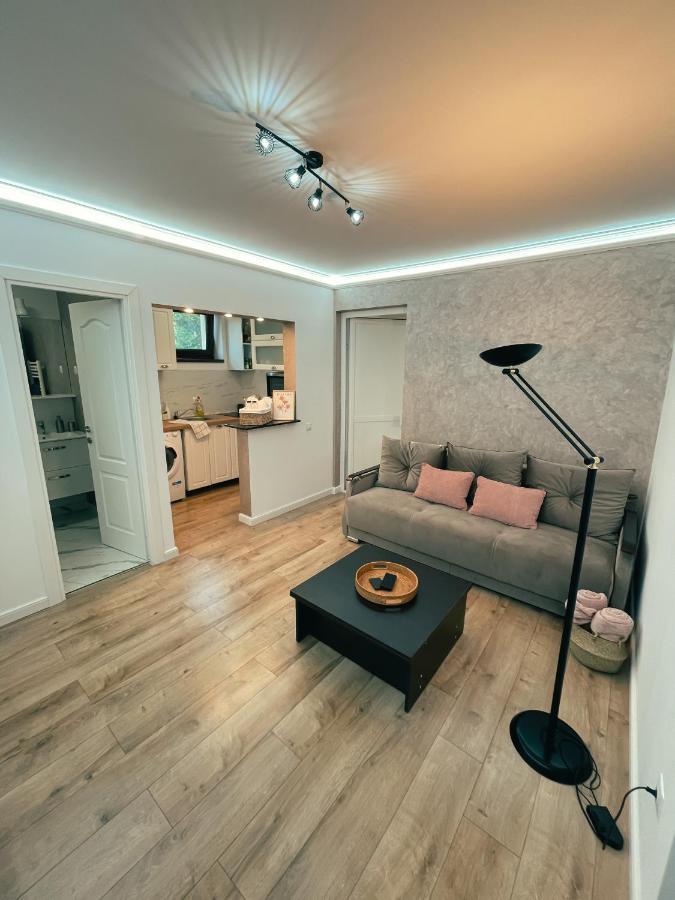 Apartment Cozy Glen Targu Mures